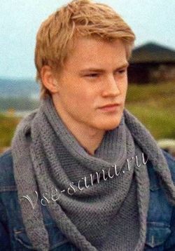 Мужской бактус спицами Мужской бактус спицами