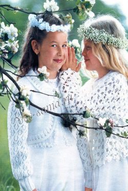 Болеро и ридикюль - Царевна-лебедь Болеро и ридикюль - Царевна-лебедь