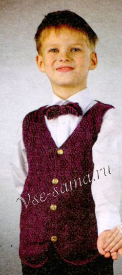 Бордовый жилет и галстук-бабочка Бордовый жилет и галстук-бабочка