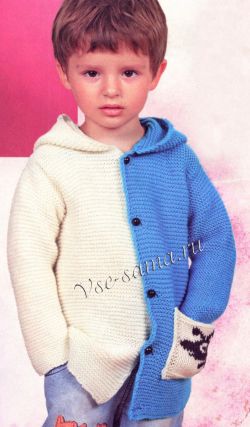 Двухцветный жакет с капюшоном Двухцветный жакет с капюшоном