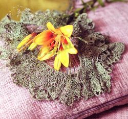 Воротничок спицами лилии Воротничок спицами лилии