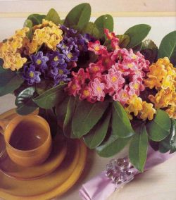 Букет из мелких цветов Букет из мелких цветов