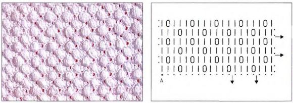 Схема к узору из шишечек 2 Схема к узору из шишечек 2