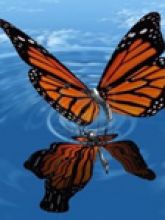 Зеркальное отображение рядов Зеркальное отображение рядов