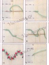 Вьюнок Вьюнок