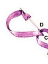 Шов «петля с прикрепом» Шов «петля с прикрепом»